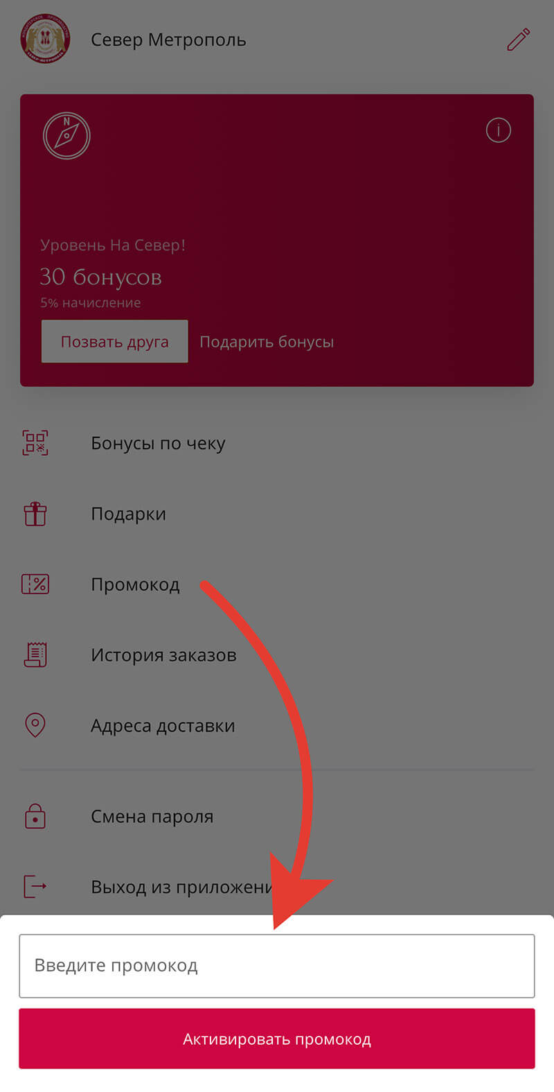Куда вводить промокод на Север-Метрополь: шаг четвертый.