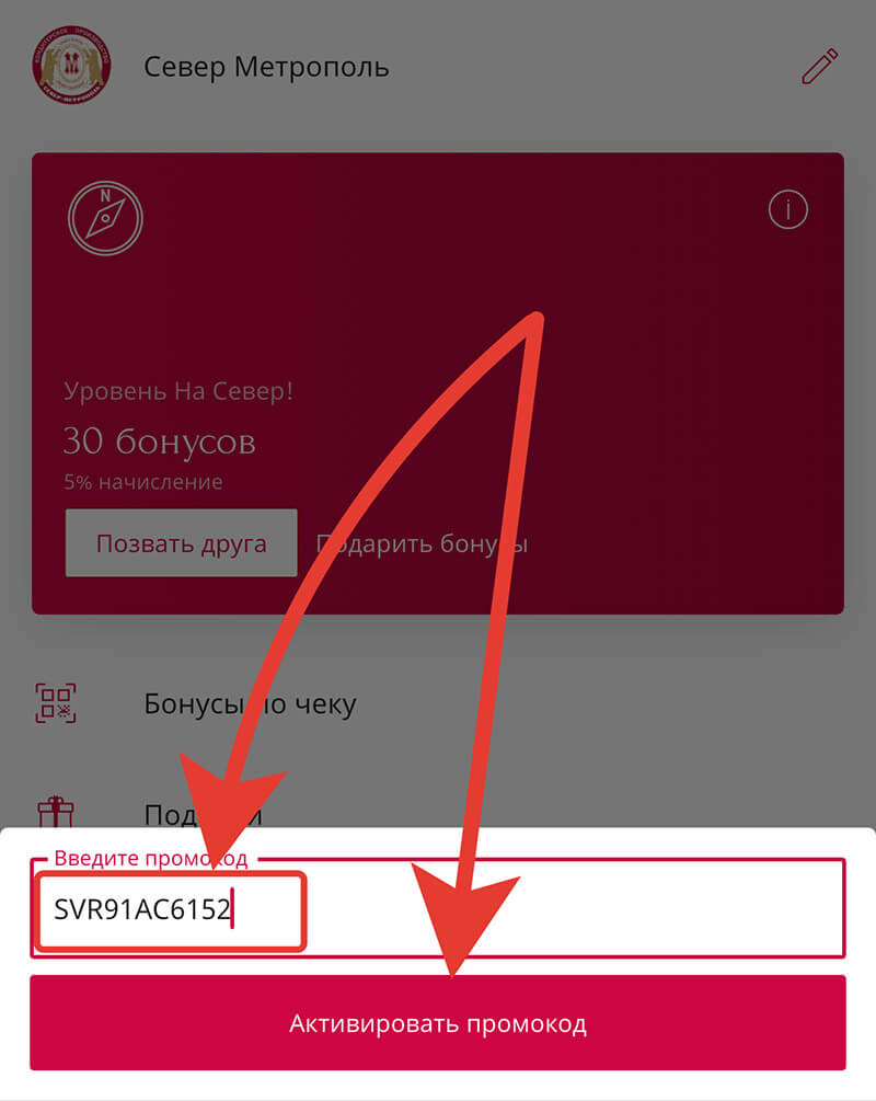 Куда вводить промокод на Север-Метрополь: шаг пятый.