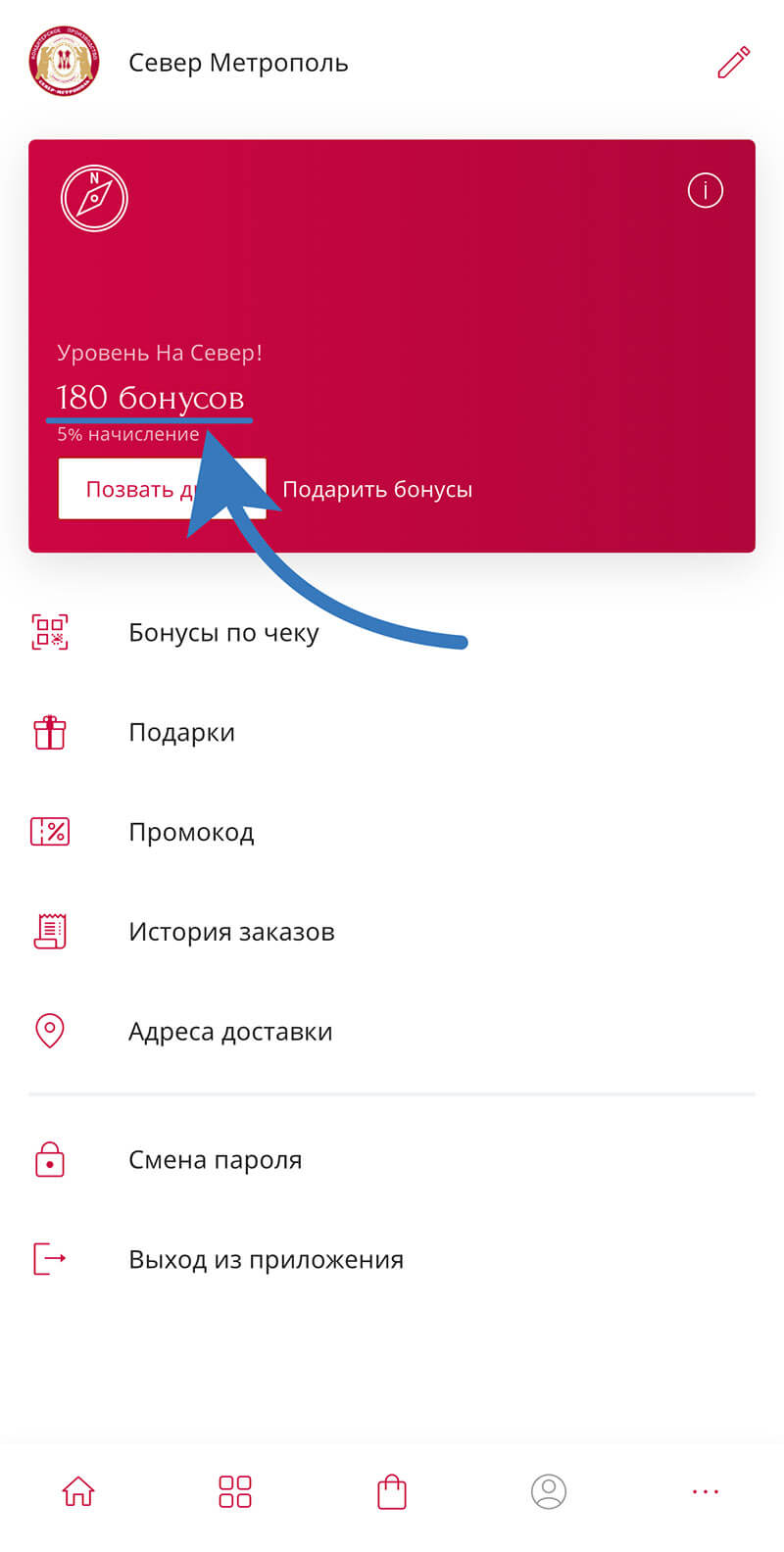 Куда вводить промокод на Север-Метрополь: шаг шестой.