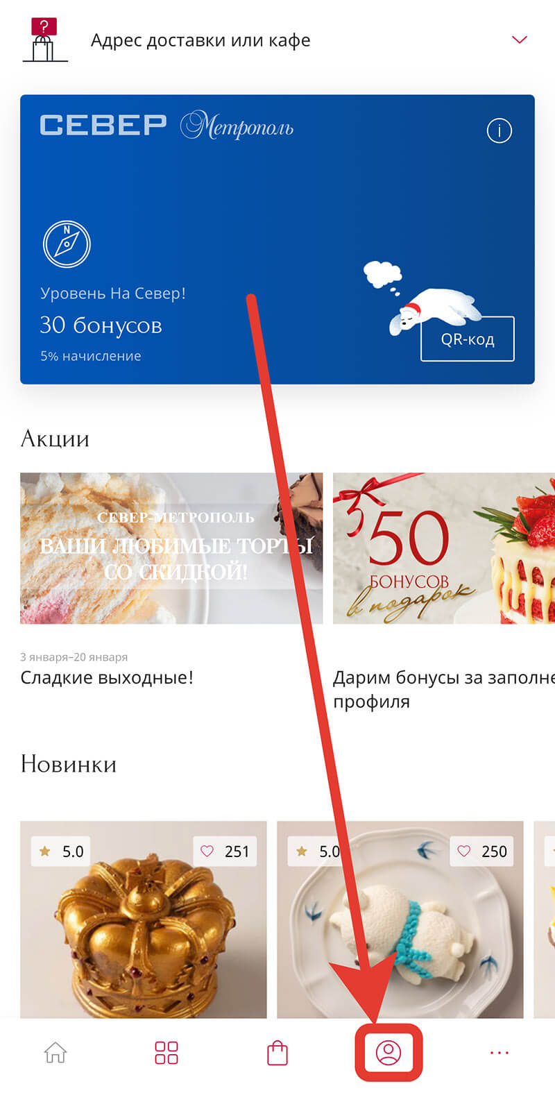 Куда вводить промокод на Север-Метрополь: шаг второй.